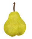 Pear 2ct